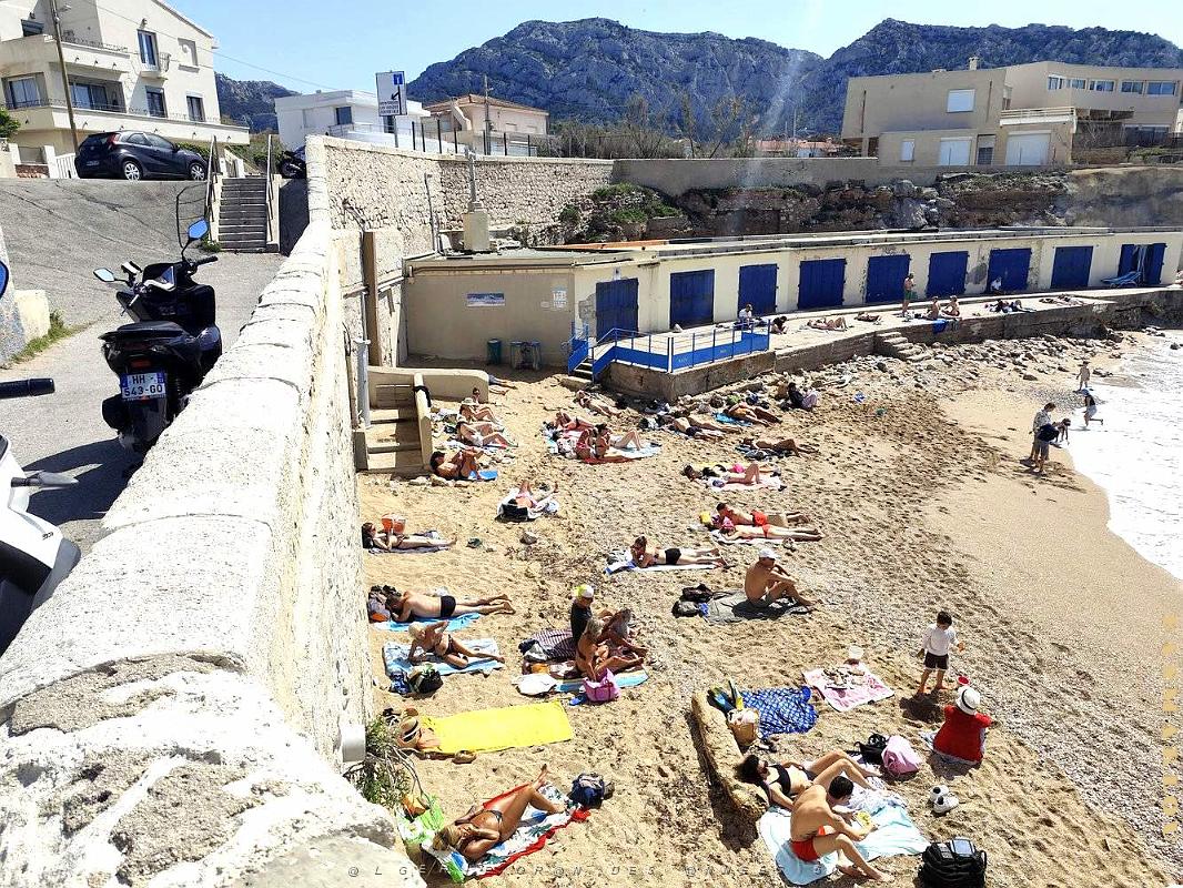 2026 04 14 MARSEILLE - PLAGE DU BAIN DES DAMES (11).jpg